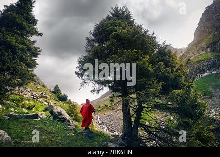 Le touriste à la couverture de pluie rouge près de l'arbre dans la vallée de montagne Banque D'Images