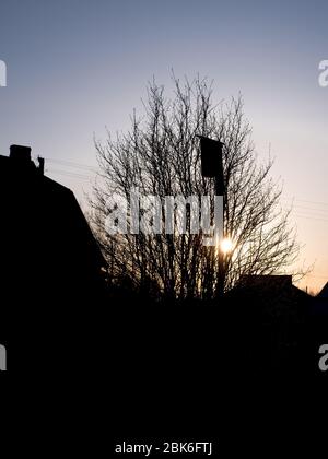 Silhouette d'une maison, d'un arbre et d'une maison d'oiseaux au coucher du soleil Banque D'Images