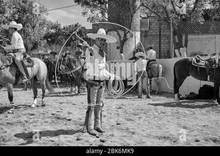 Charrerias sont l'équivalent mexicain des rodéos. Pendant trois jours, les participants ont eu du mal à obtenir le nombre maximum de points dans les différentes tes Banque D'Images