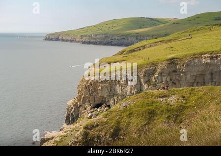 Vue vers l'ouest le long de la magnifique côte jurassique, un après-midi d'été, depuis un sentier au sommet d'une falaise près de la rive dansante, Worth Matravers, Swanage, Dorset, Banque D'Images