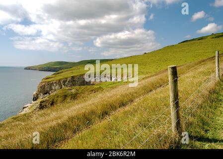 Vue vers l'ouest le long de la magnifique côte jurassique, un après-midi d'été, depuis un sentier au sommet d'une falaise près de la rive dansante, Worth Matravers, Swanage, Dorset, Banque D'Images