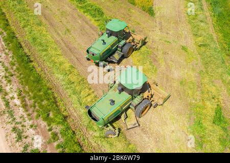 Moissonneuse-batteuse John Deere traitant un grand champ de blé pour l'ensilage, vue aérienne. Banque D'Images
