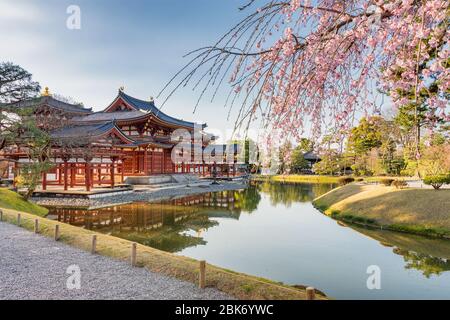 Phoenix Hall et le jardin Jodo-Shiki du temple bouddhiste de Byodo-in dans la ville d'Uji dans la préfecture de Kyoto, Japon Banque D'Images