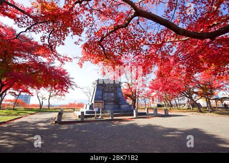 Automne dans le parc du château de Morioka, ville de Morioka, Iwate, Japon. Banque D'Images