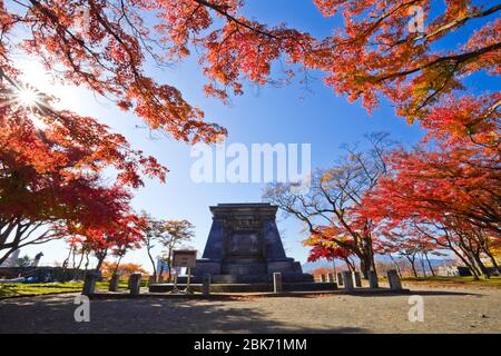 Automne dans le parc du château de Morioka, ville de Morioka, Iwate, Japon. Banque D'Images