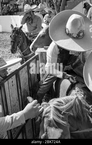 Le cow-boy mexicain se prépare à faire du cheval sauvage lors d'un événement de « charreria ». Charrerias sont l'équivalent mexicain des rodéos. Pendant trois jours l'ap Banque D'Images