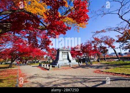 Automne dans le parc du château de Morioka, ville de Morioka, Iwate, Japon. Banque D'Images