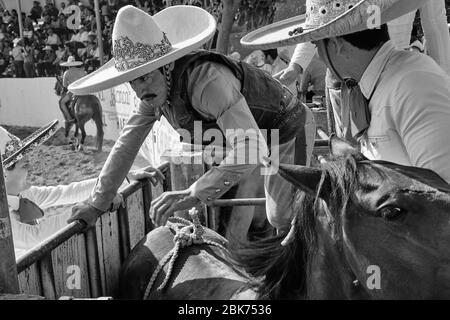 Le cow-boy mexicain se prépare à faire du cheval sauvage lors d'un événement de « charreria ». Charrerias sont l'équivalent mexicain des rodéos. Pendant trois jours l'ap Banque D'Images