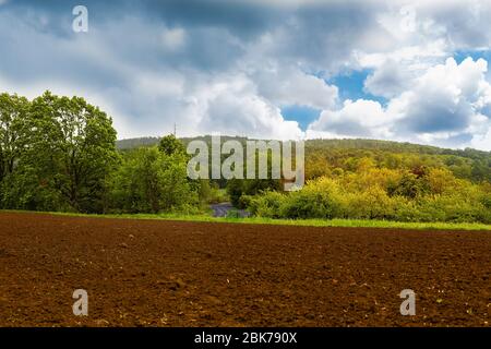 Terres agricoles. Seigle et blé. Champs préparés pour la culture. Printemps dans la campagne. Travail de l'agriculteur. Terres agricoles et usine. Jeune cere Banque D'Images