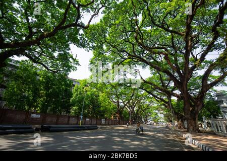 Les rues de la région du campus universitaire de Dhaka sont vides dans l'emprise du coronavirus à Dhaka, au Bangladesh. Banque D'Images