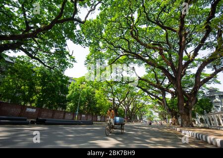 Les rues de la région du campus universitaire de Dhaka sont vides dans l'emprise du coronavirus à Dhaka, au Bangladesh. Banque D'Images