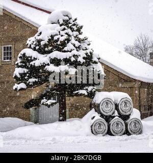 Distillerie Nikka dans la neige, Hokkaido, Japon Banque D'Images