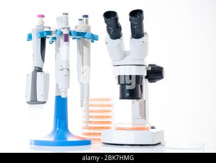 microscope, boîtes de petri et support de pipette par laboratoire microbiologique. La réponse immunitaire de l’organisme de recherche aux aliments pour aider à fournir des conseils sur ce que t Banque D'Images