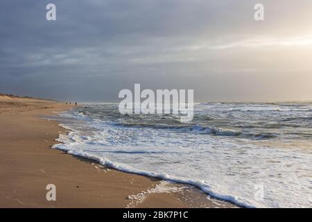 Vue panoramique sur une plage de l'île de Sylt heure d'or d'un après-midi nuageux Banque D'Images