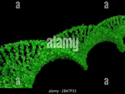 Hélice à ADN à brins d'ADN en feuilles de cannabis Banque D'Images