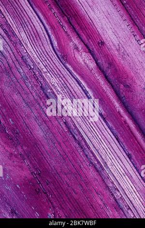 Texture bois, tons violet. Panneaux diagonaux gros plan. Fond en bois lilas vertical. Modèle d'écran de veille du téléphone Banque D'Images