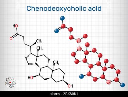 Acide chenodésoxycholique, CDCA, acide chenocholique, molécule C24H40O4. C'est de l'acide biliaire naturellement trouvé dans le corps. Il est utilisé comme cholagogue, la choleretic Illustration de Vecteur