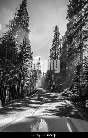 En voiture à travers Yosemite Banque D'Images