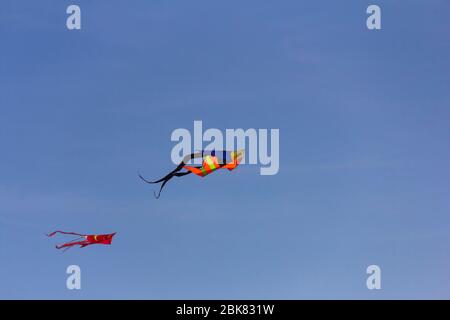 Rubans colorés et figurines en cerf-volant accrochés sur des poteaux et volantes sur fond bleu kite festival Banque D'Images