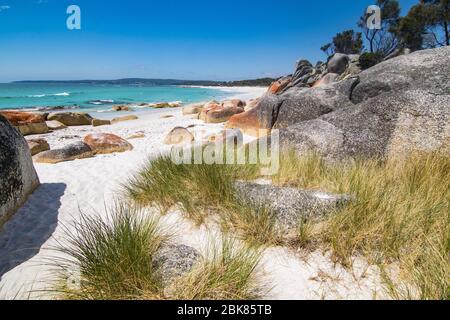 Rochers à la baie des feux en Tasmanie Banque D'Images