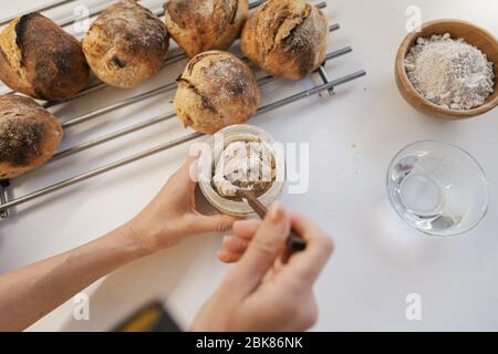 Vue de dessus de l'alimentation de farine fraîche à levain de levure de démarrage en la mélangeant avec une cuillère en bois. Sur le comptoir de cuisine à côté des petits pains fraîchement cuits. Banque D'Images