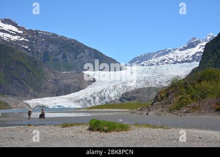 Le glacier Mendenhall, près de Juneau, en Alaska, se jette dans le lac Mendenhall. Banque D'Images