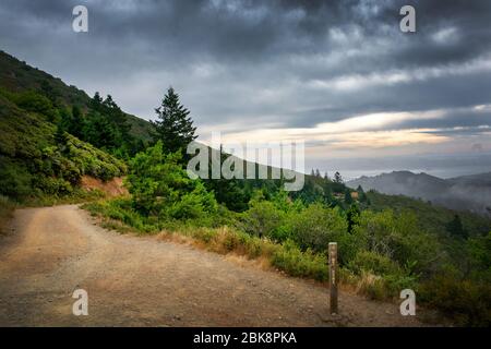 Le Mont Tamalpais State Park, Californie Banque D'Images