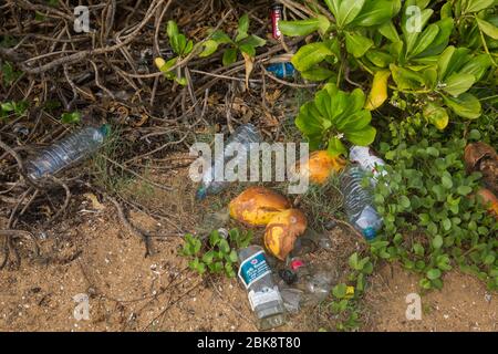 Pollution plastique sur la plage de la mer à Colombo au Sri Lanka. Banque D'Images