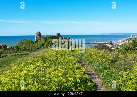 Vue sur le château de Hastings sur la ville et la jetée jusqu'à Beachy Head, East Sussex, Royaume-Uni Banque D'Images