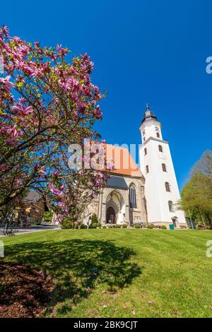 Vue extérieure de l'église catholique du hall du XVe siècle Wallfahrtskirche Mariä Heimsuchung à Zell am Pettenfirst, Oberösterreich, Autriche Banque D'Images