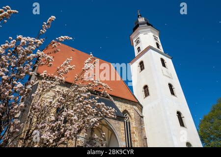 Vue extérieure de l'église catholique du hall du XVe siècle Wallfahrtskirche Mariä Heimsuchung à Zell am Pettenfirst, Oberösterreich, Autriche Banque D'Images