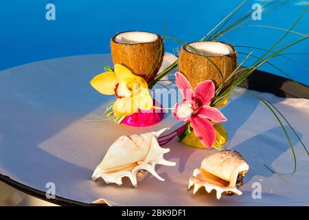 deux verres de noix de coco avec orchidées et deux coquillages sur le bacille de la mer bleu Banque D'Images