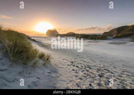 Dunes de sable au coucher du soleil, Wharariki Beach Puponga, North West Nelson conservation Park, Tasman, South Island, Nouvelle-Zélande Banque D'Images