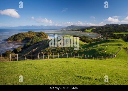 Dunes de sable au coucher du soleil, plage d'Anatori, Puponga, Parc naturel de North West Nelson, Tasman, Île du Sud, Nouvelle-Zélande, Océanie Banque D'Images