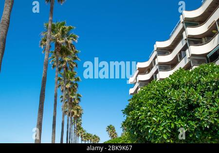 Vue sur une ligne de palmiers et des appartements incurvés le long de la plage à Marbella, Espagne Banque D'Images