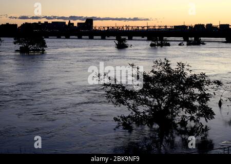 Paysage des basses eaux de la rivière Tama le matin, lorsque le typhon no 19 accompagné de fortes pluies est passé le 13 octobre 2019 Banque D'Images