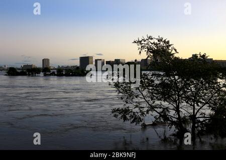 Paysage des basses eaux de la rivière Tama le matin, lorsque le typhon no 19 accompagné de fortes pluies est passé le 13 octobre 2019 Banque D'Images