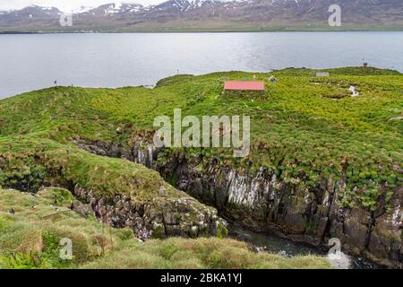 Vue générale de l'habitat de la macareux de l'Atlantique (Fratercula arctica) à Borgarfjarðarhöfn, au nord-est de l'Islande. Banque D'Images