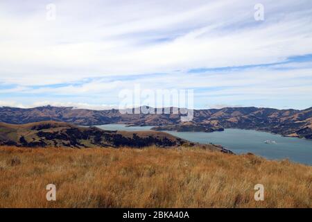 Akaroa. Akaroa long Harbour, prise de la route Summit. Règlement français. Bateau de croisière ancré dans la baie. Côte est, Île du Sud, Nouvelle-Zélande. Banque D'Images