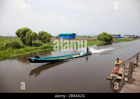 Canoë entouré de jardins flottants, village de Maing Thauk, lac Inle, état de Shan, Myanmar, Asie Banque D'Images