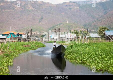 Canoë entouré de jardins flottants, village de Maing Thauk, lac Inle, état de Shan, Myanmar, Asie Banque D'Images