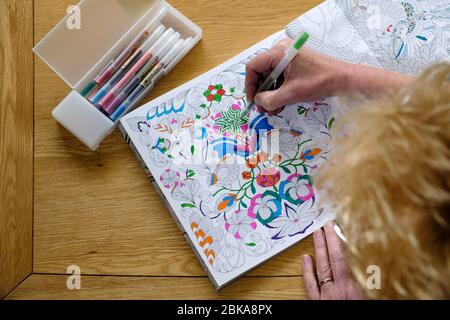 Une femme d'âge moyen mûre colorante dans un livre de coloriage pour adulte. A de souligner, calmer, activité de pleine conscience. Les motifs sont colorés avec des stylos lumineux Banque D'Images