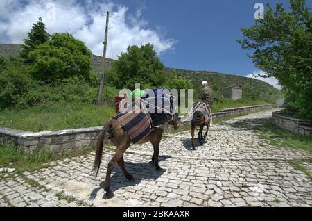 Grèce, Épirus, homme non identifié avec des ânes dans le village de montagne Kalariens, un village Aromanien aka Vlach dans le parc national de Tzoumerka, traditionnel Banque D'Images