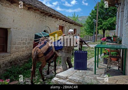 Grèce, Épirus, homme non identifié avec des ânes dans le village de montagne Kalariens, un village Aromanien aka Vlach dans le parc national de Tzoumerka, traditionnel Banque D'Images