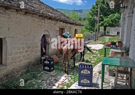 Kalariens, Grèce - 06 juin 2019: Homme non identifié avec des ânes dans le village de montagne Kalariens, un village Aromanien aka Vlach dans le parc national de TZO Banque D'Images