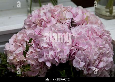 fleurs roses, bouquet dans un vase en verre, ébène, bouquet Banque D'Images