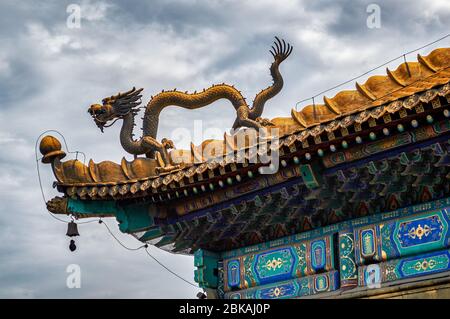 Dragon plaqué or ornant le toit du Temple de Xumi Fushou, l'un des huit temples extérieurs de Chengde dans Chengde Mountain Resort, résidence d'été Banque D'Images