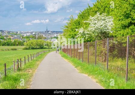 Idylle rurale dans les environs de la ville de Luxembourg avec bétail paître sur le pâturage et le bureau de Kirchberg tours en arrière-plan Banque D'Images