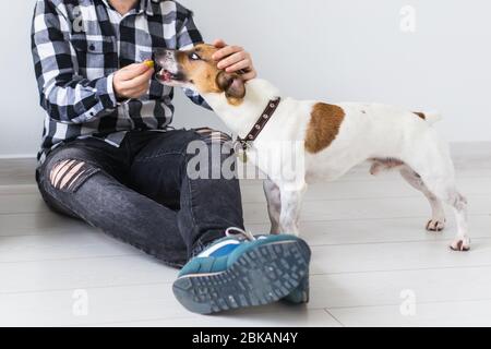 Concept de propriétaire d'animaux de compagnie - attrayant homme gai dans une chemise à carreaux tient l'animal préféré. Joyeux barbu avec son Jack russell terrier Banque D'Images