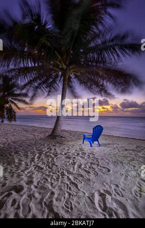 Chaise de plage et façades de palmier soufflant dans le vent Banque D'Images